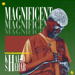 Album cover of Magnificent (feat. Shehab)