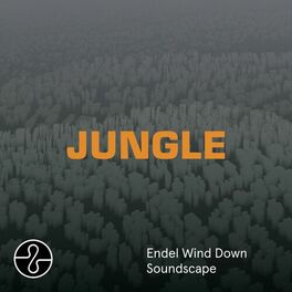 Album cover of JUNGLE (Wind Down Soundscape)