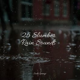 Album cover of 25 Slumber Rain Sounds