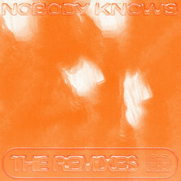Album cover of Nobody Knows (The Remixes)