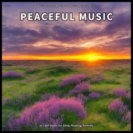 Album cover of ! ! ! ! Peaceful Music to Calm Down, for Sleep, Reading, Serenity