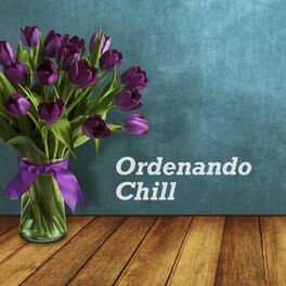 Album cover of Ordenando Chill