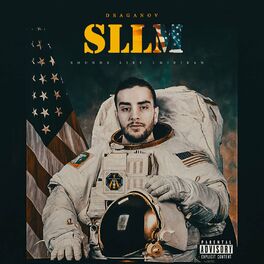 Album cover of SLLM