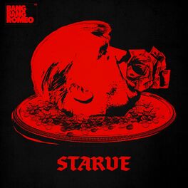 Album cover of Starve