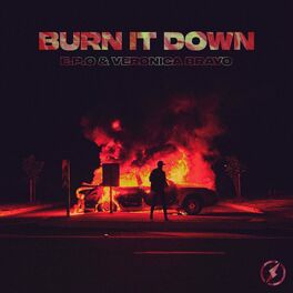 Album cover of Burn It Down