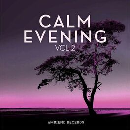 Album cover of Calm Evening (Vol 2)