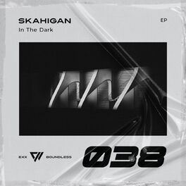 Album cover of In The Dark
