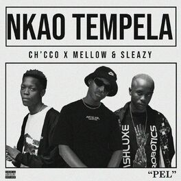 Album cover of Nkao Tempela