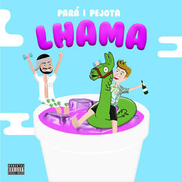 Album cover of Lhama