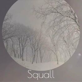 Album cover of Squall