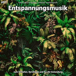 Album cover of #01 Entspannungsmusik zum Schlafen, Beruhigen und für die Gesundung