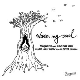 Album cover of Warm My Soul (Higher Light Remix)