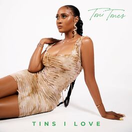 Album cover of Tins I Love