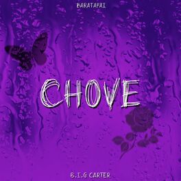 Album cover of Chove