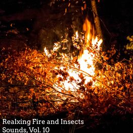 Album cover of Realxing Fire and Insects Sounds, Vol. 10