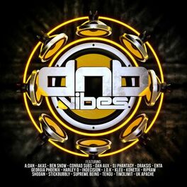 Album cover of DNB Vibes