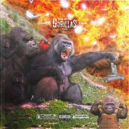 Album cover of Year Of The Gorillas