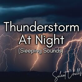 Album cover of Rain and Thunder for Sleep