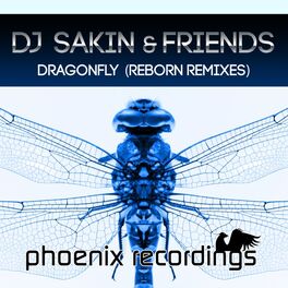 Album cover of Dragonfly (Reborn Remixes)