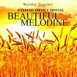 Album cover of Beautiful Melodine