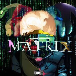 Album cover of THE MATRIX
