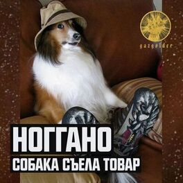 Album cover of Собака съела товар