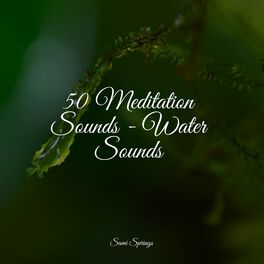 Album cover of 50 Meditation Sounds - Water Sounds