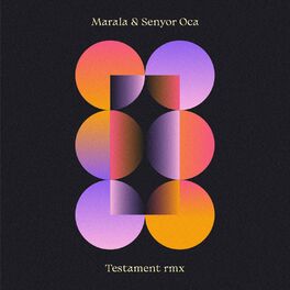 Album picture of Testament (Remix)