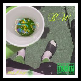 Album cover of BW (feat. Pogo & Prod. Appa)