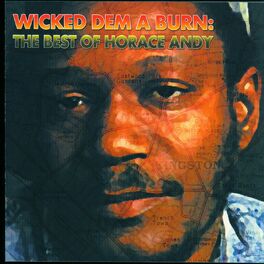 Album cover of Wicked Dem A Burn