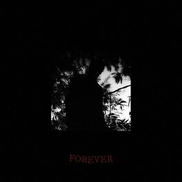 Album cover of FOREVER