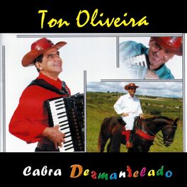 Album cover of Cabra Desmantelado