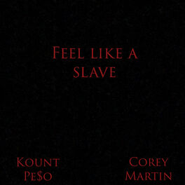 Album cover of Feel like a Slave