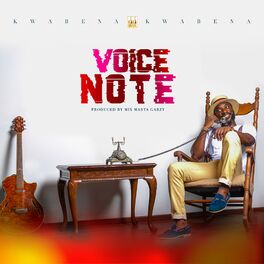 Album cover of Voice Note