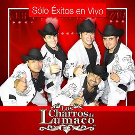 Album cover of Sólo Exitos en Vivo (En Vivo)