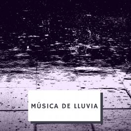 Album cover of Música De Lluvia
