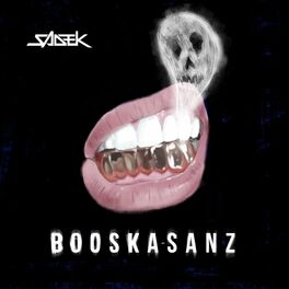 Album cover of Booska Sanz