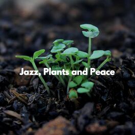 Album cover of Jazz, Plants and Peace