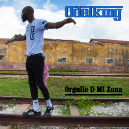 Album cover of Orgullo D Mi Zona
