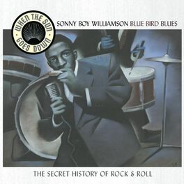Album cover of Bluebird Blues - When The Sun Goes Down Series