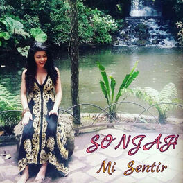 Album cover of Mi Sentir