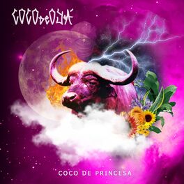 Album cover of Coco de Princesa