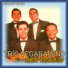 Album cover of Amor Prohibido (Remastered)