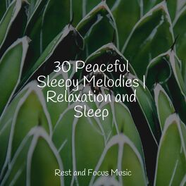 Album cover of 30 Rolling Melodies for Toddlers