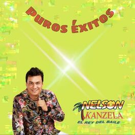 Album cover of Puros Éxitos