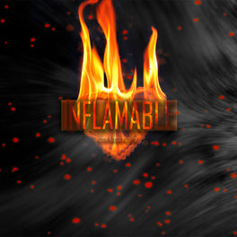 Album cover of Inflamable