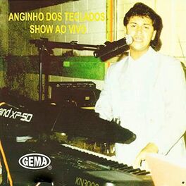 Album cover of Anginho dos Teclados (Ao Vivo)