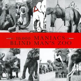 Album cover of Blind Man's Zoo