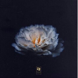 Album cover of Genre Zouk