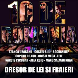 Album cover of Dresor de lei si fraieri
